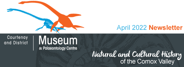 Courtenay & District Museum