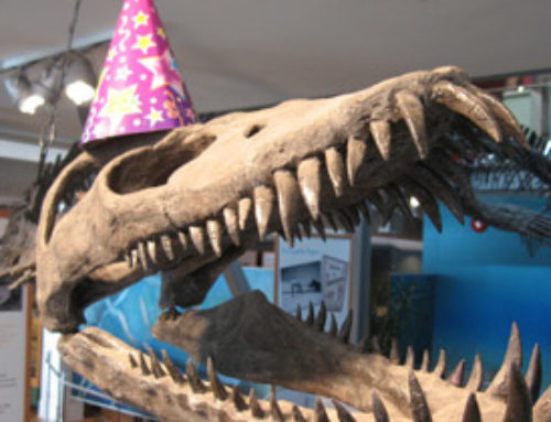 Elasmosaur’s Birthday Celebration