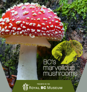 BC’s Marvellous Mushrooms