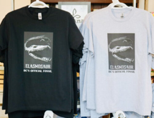 Brand New Elasmosaur Shirts in the Gift Shop