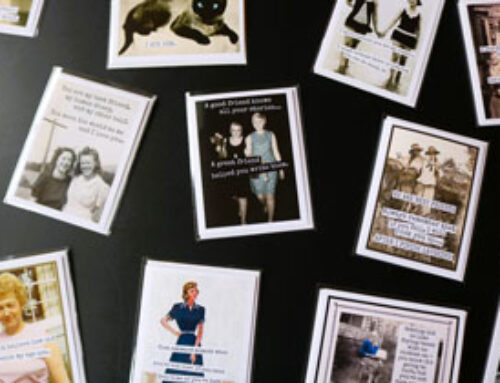 October 2025 Gift Shop News