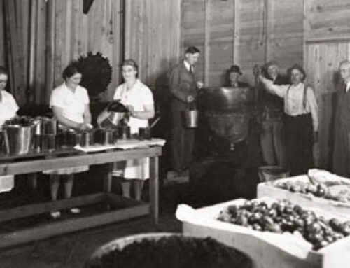 From the Archives: Photo of the Month February 2026