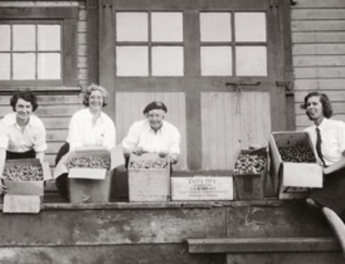 From the Archives: Photo of the Month March 2026