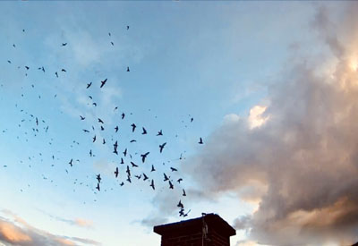 photo-front-vaux2026