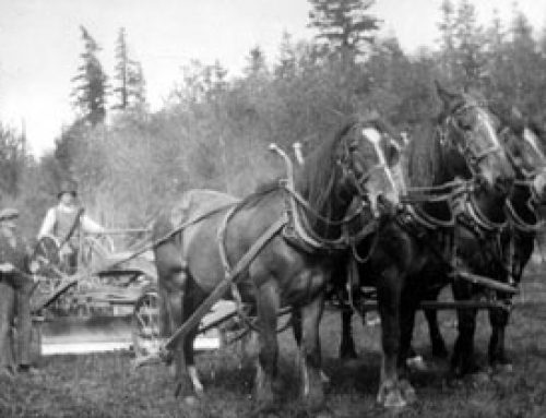 From the Archives: Photo of the Month April 2026