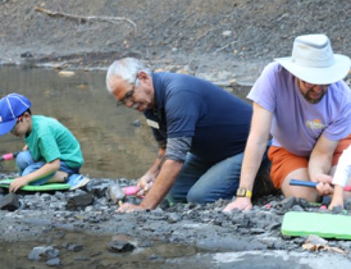 Fall Fossil Tours