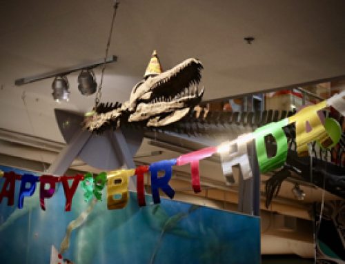 Elasmosaur’s Birthday Party 2026
