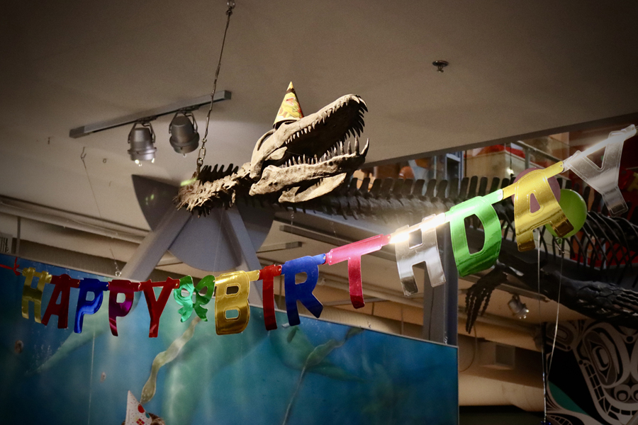 photo-bday